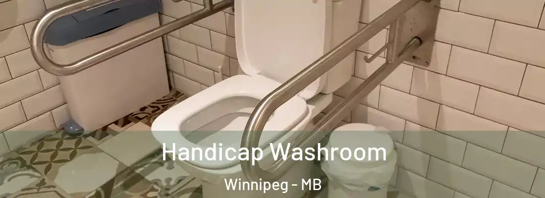 Handicap Washroom Winnipeg - MB