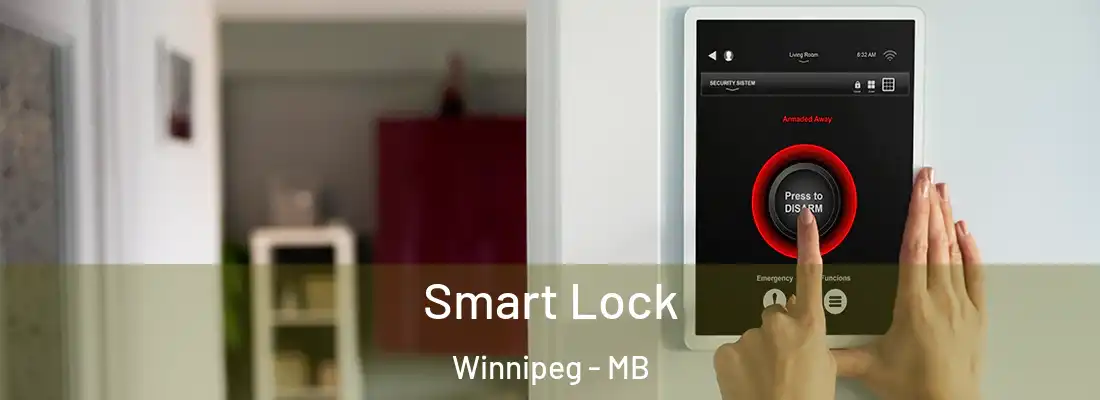 Smart Lock Winnipeg - MB